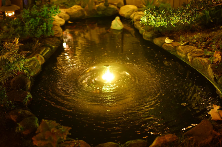 From Daytime Sparkle to Nighttime Glow: Outdoor Living with Water and Light