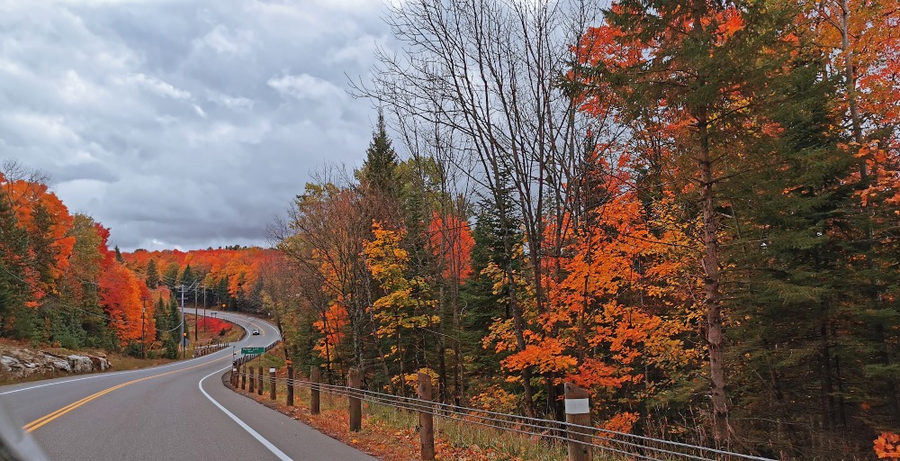 Haliburton's